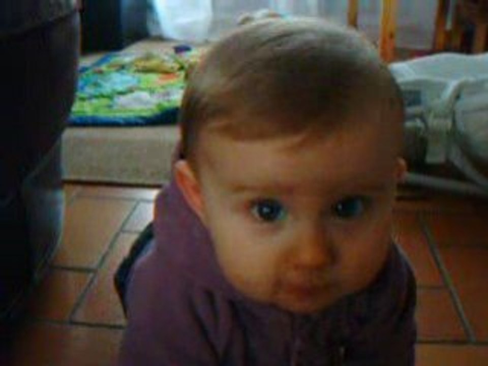 En avant pour le 4 pattes!!!