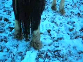 petit matin gelé à Sarrance