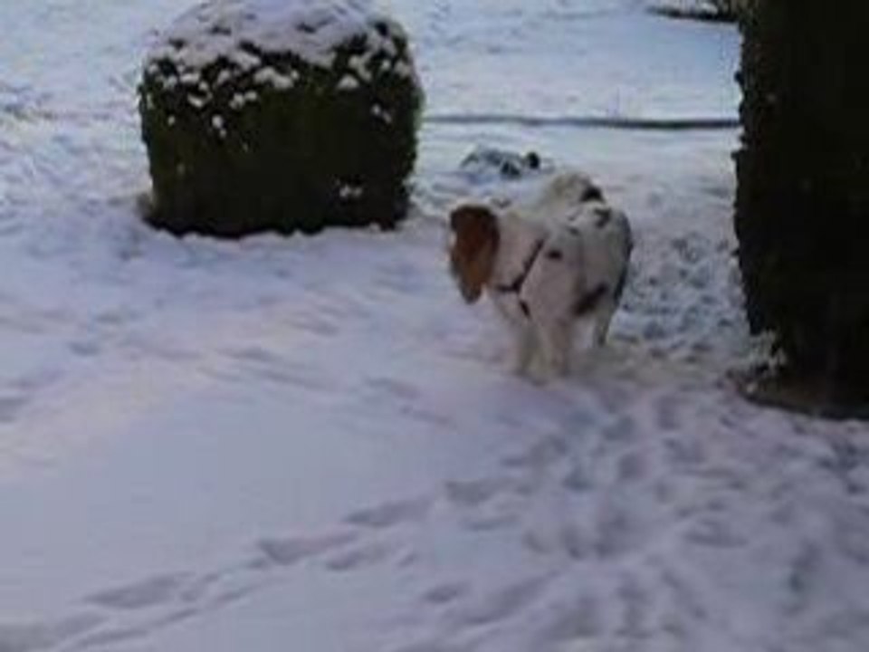 Tony dans la neige N°2