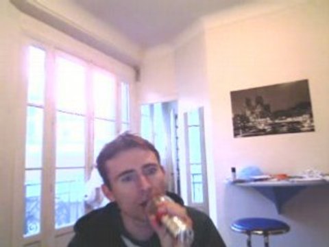 Wiwi égratigne For America