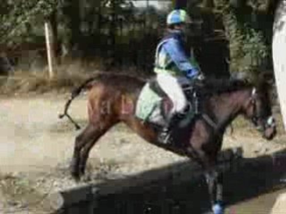 Saison 2009