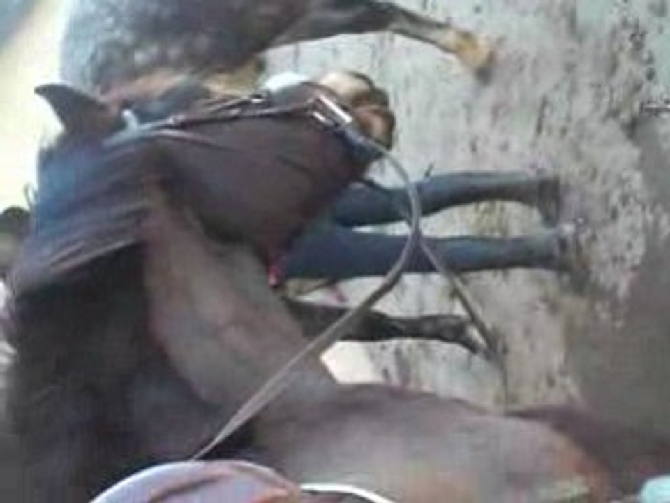 La vidéo qui été sancé etre une photo