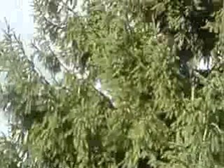 téléportation a la 1.28secondes a mourire de rire