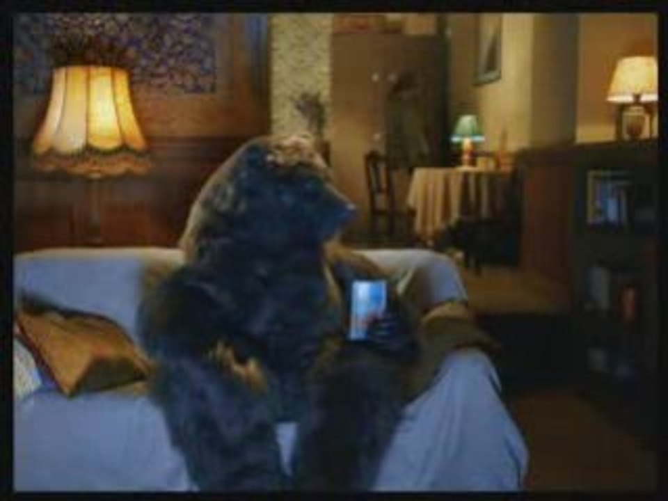Bear for Vici