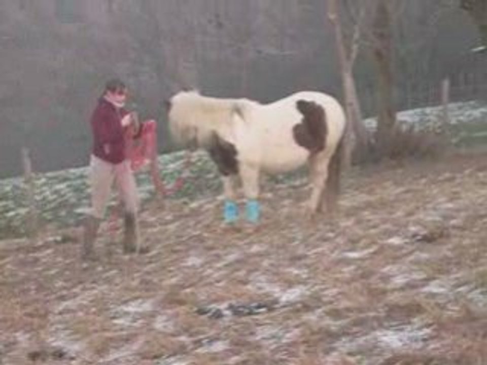 11 janvier 2oo9 / Kéops et tte la troupe =)