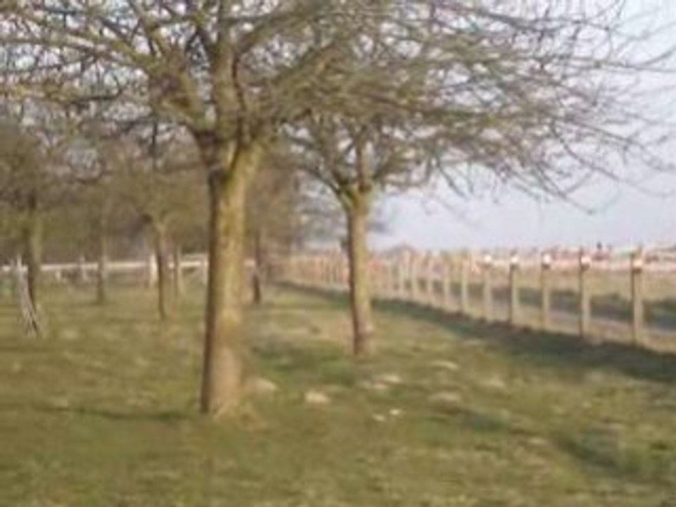 HONDA CIVIC MOTEUR QUAGLIOZZI