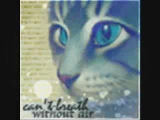Jayfeather - Emo Kid