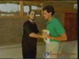 Tai Chi Chuan Martial Art Soft Punches