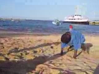 LE BONHEUR TOUT SIMPLEMENT