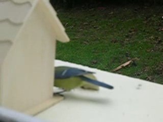 DSCN6281