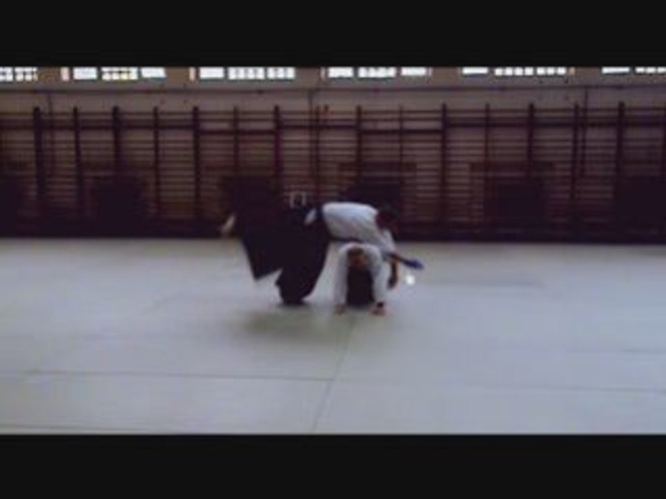 Aikido's breakfalls