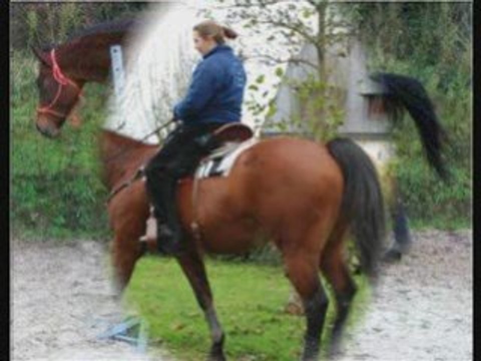 Pearly 2009