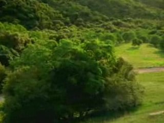 Free Movies    Free Movie Downloads    Free Videos!