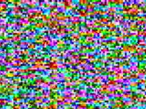 Darwins Galapagos Islands video 009