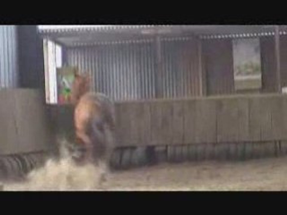 Seance Saut lundi 12janvier