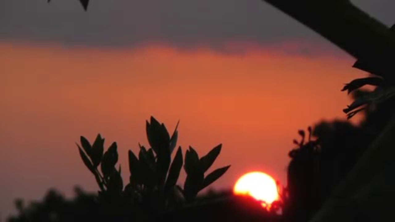 Dia De Muertos en San Miguel de Allende
