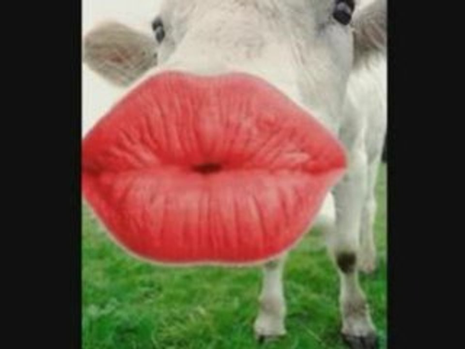 FI KHATAR BOUSSAH ( Nasss )