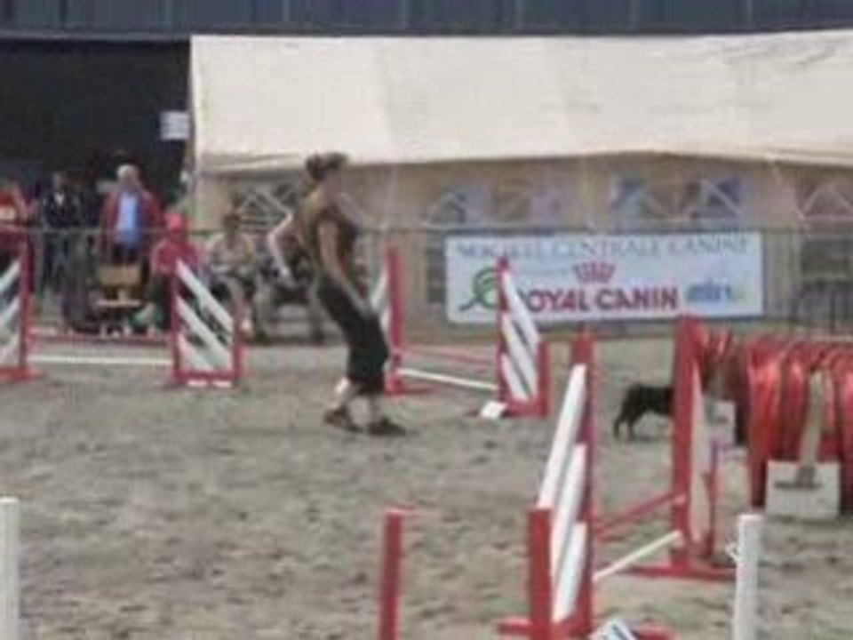Far de Dunkerque 2008 Elwin