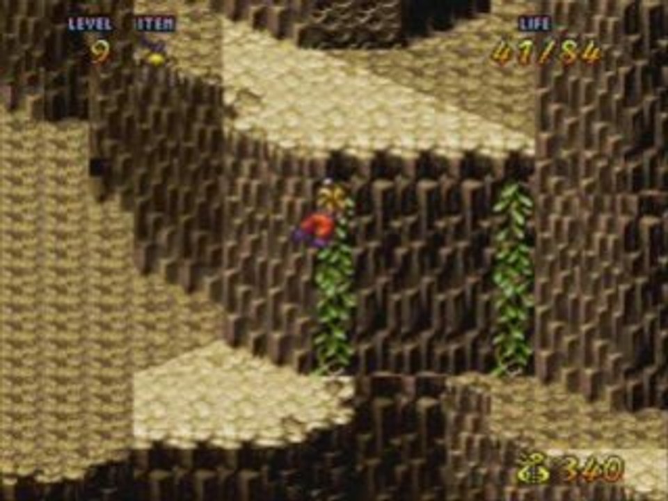 Terranigma walkthrough 13 Le paradis des oiseaux