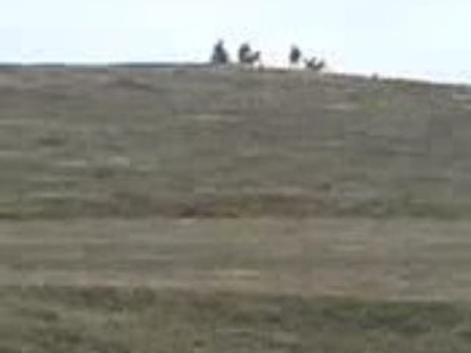 MOV00009