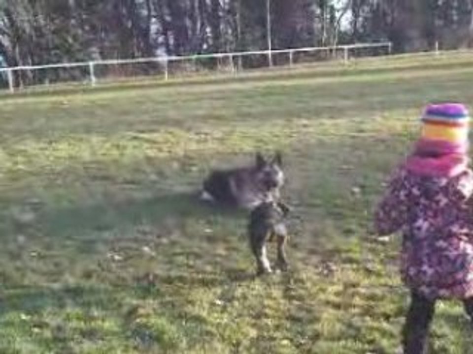Vidéo-0005