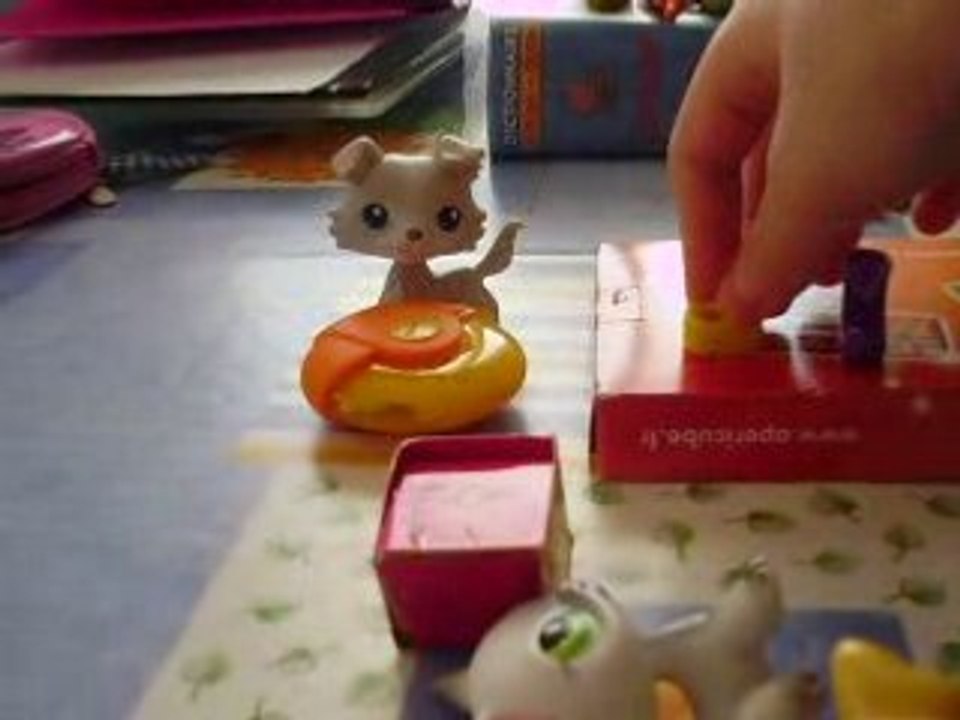 Une journée au magasin de chaussures