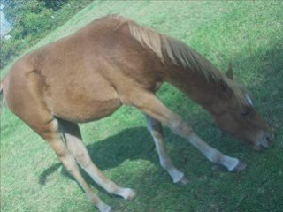 Montage de moi mes amie