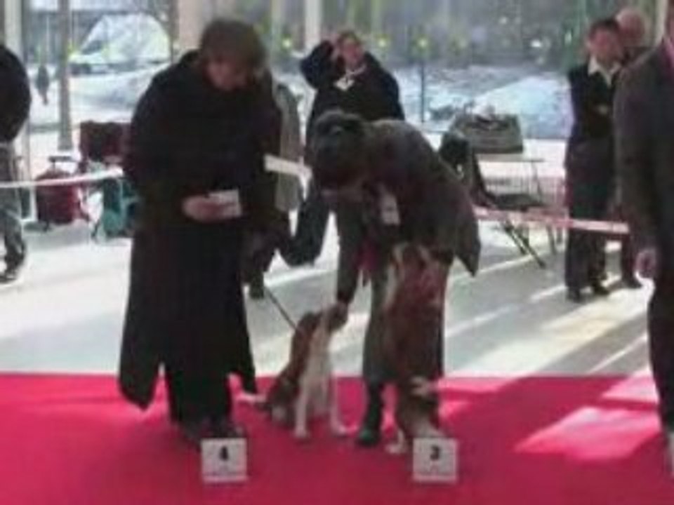 PARIS DOG SHOW FANCKC 2009