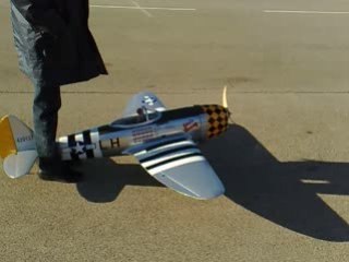 P47 world models
