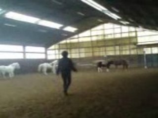 Les poneys du club en action..