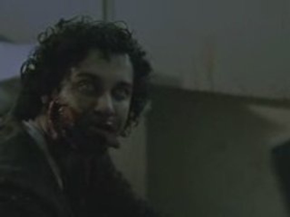 D.S 3 zombie serie vost fr