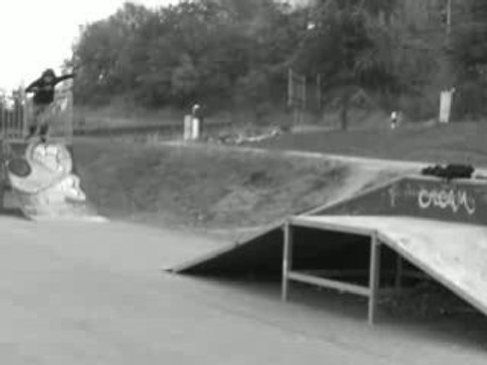 Raff Roller 3