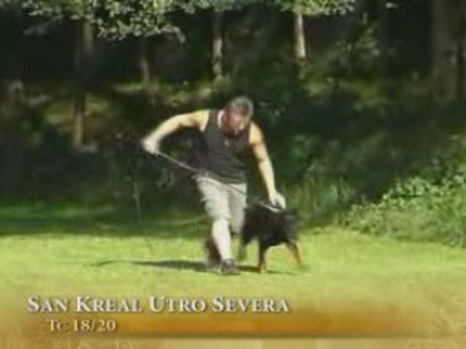 utro severa