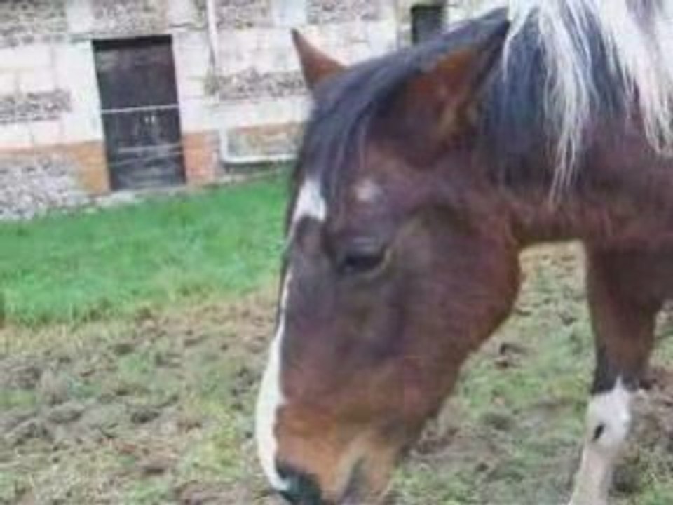 Decembre22 2008 c'est lheure de manger