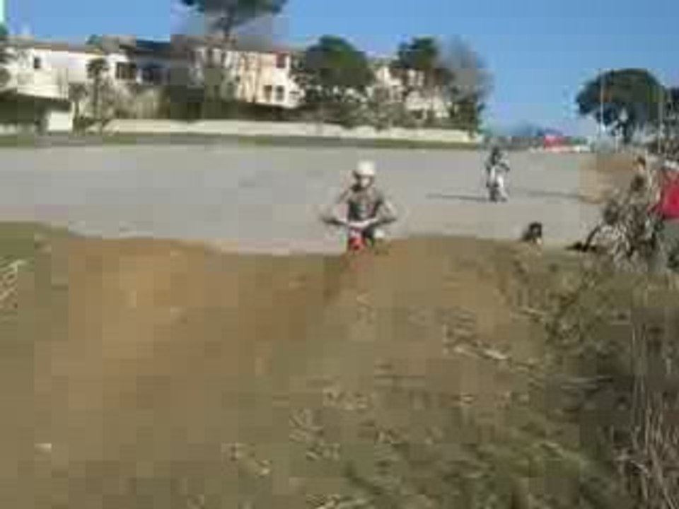 DirTeral
