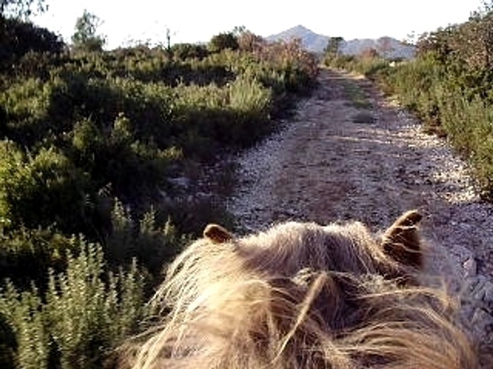 Galop bALADE