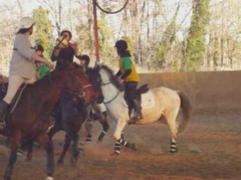 Match de horse ball au emv_0001