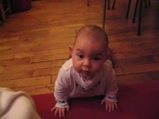 Thémis en mode 4 pattes