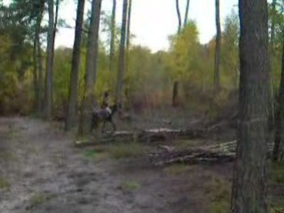 Entrainement cross bois de rosière 2