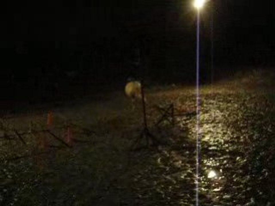 entrainement trec banderolles