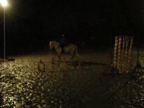 Entrainement trec ptv en licol