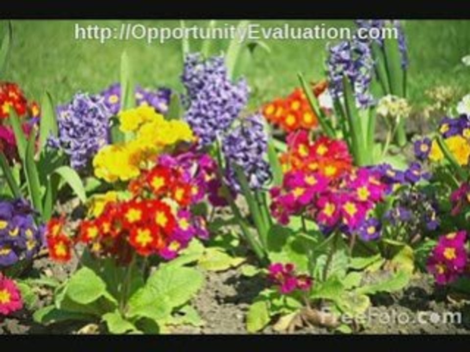 Opportunity Evaluation Results