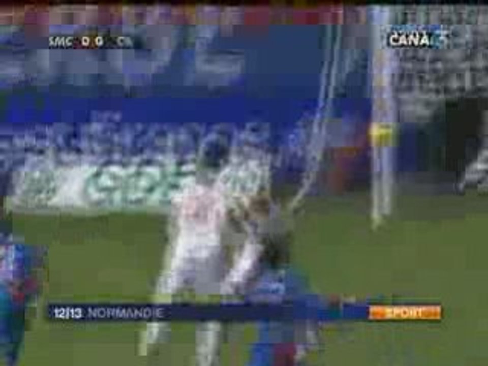 Caen - Lyon  0  1 football L1, 19 journée saison 2008-2009