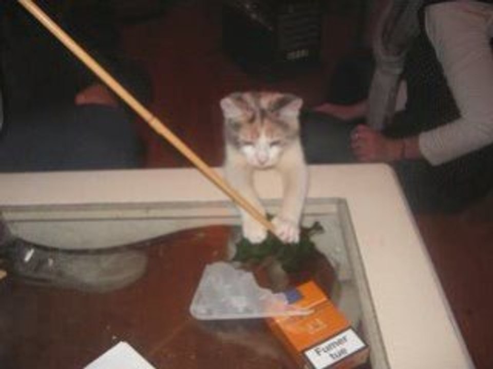 Tina_0001