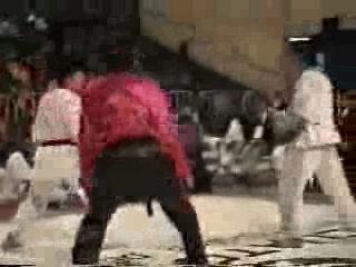 Taekwondo vs Karaté