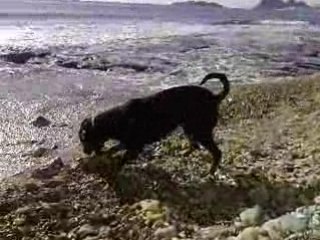 Ch@movie-matin du 14_01_2009*soleil de fou 15°