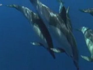 Au coeur des oceans le grand large 3/3