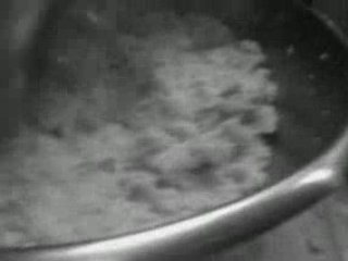 Kitchen Storrs Hall1