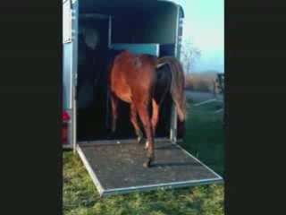 Tennessee qui monte toute seule dans le van