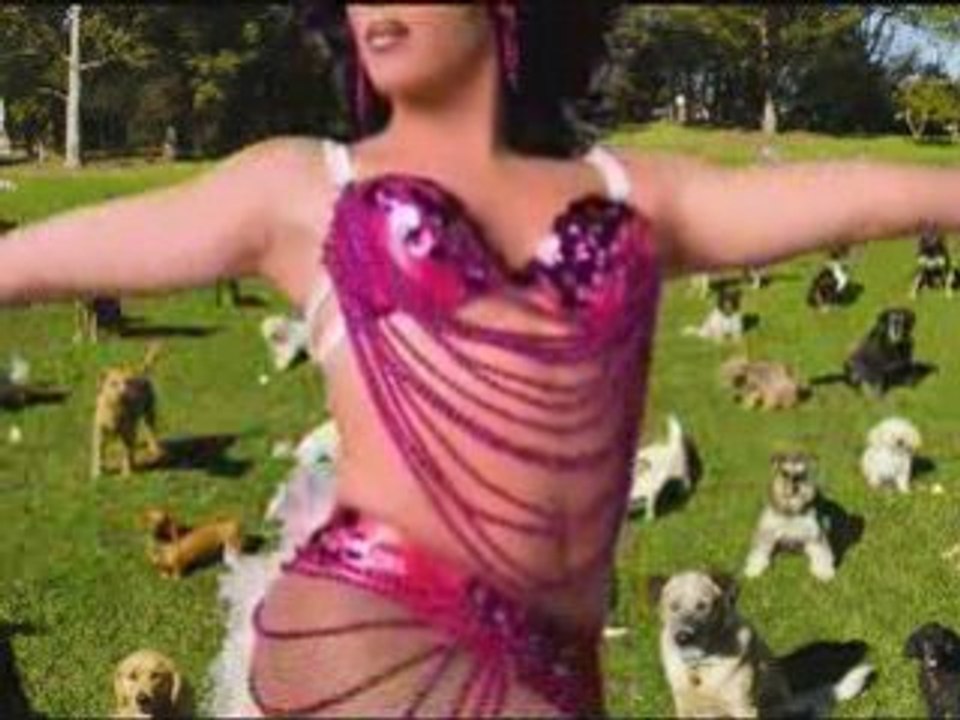 Odd News - Sexual Healing Hospital, Vet Scams Pet Lovers